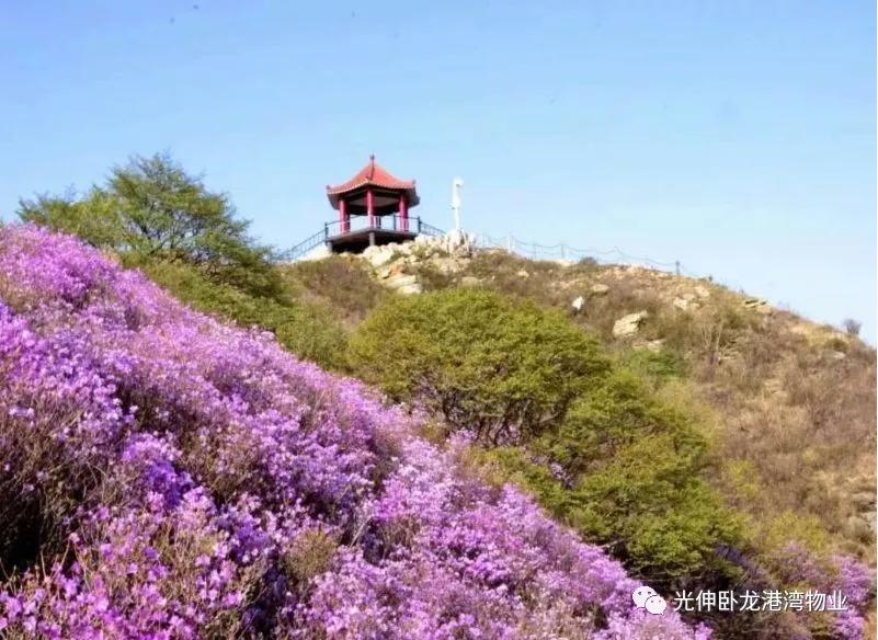 尊龙人生就是博·Z6「中国区」首页官网