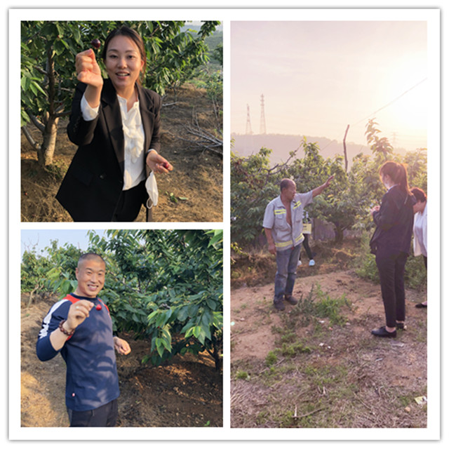 尊龙人生就是博·Z6「中国区」首页官网