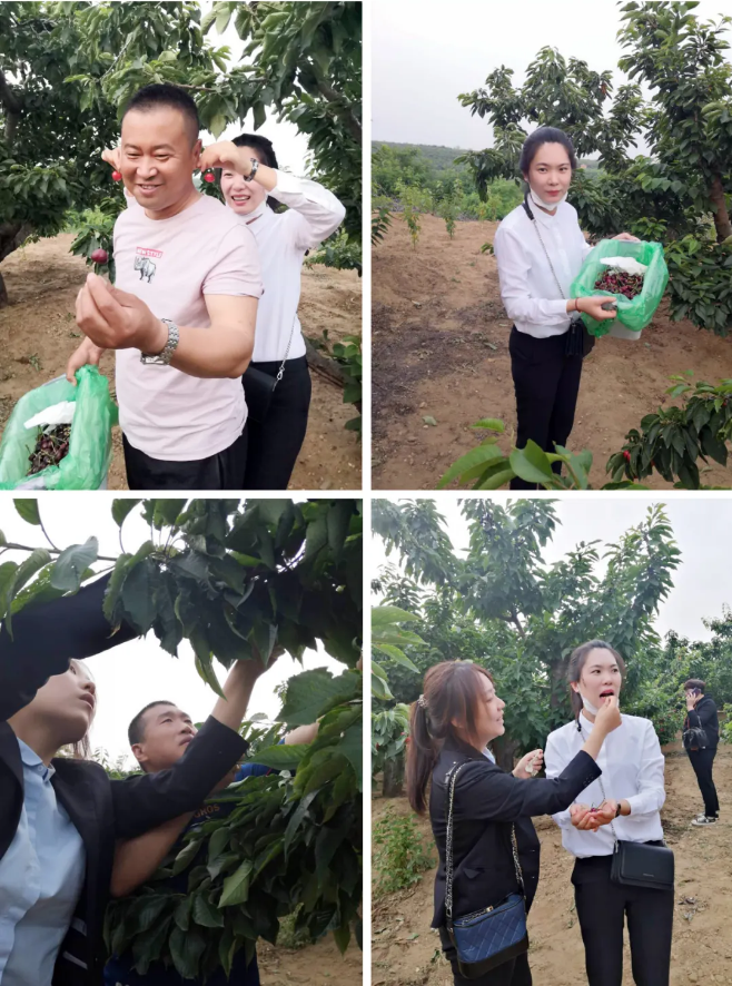 尊龙人生就是博·Z6「中国区」首页官网